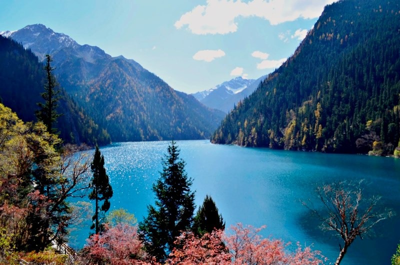 Hồ Trường Hải