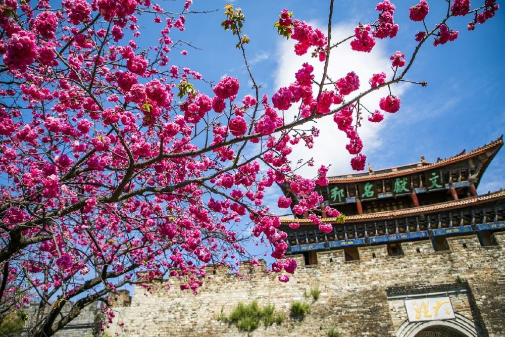 Từ vựng tiếng Trung mùa xuân