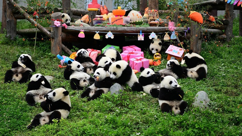 du lịch thành đô