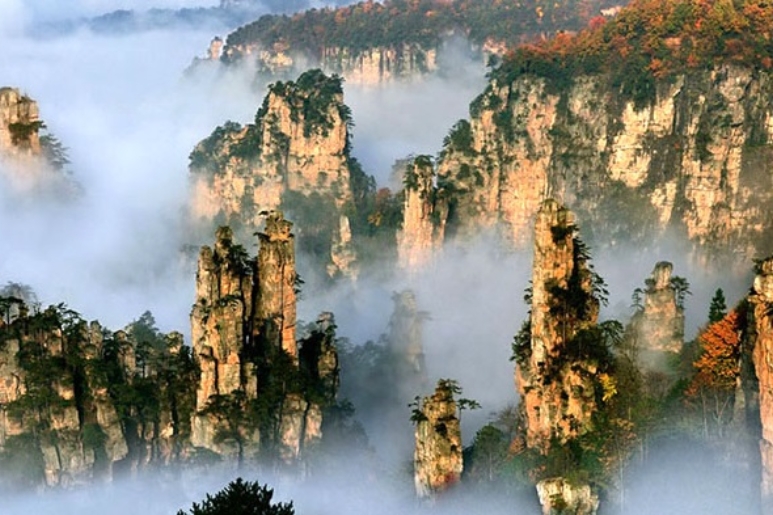 du lịch Trương Gia Giới