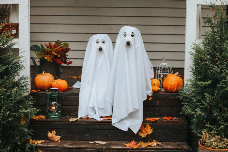 tiếng Trung chủ đề Halloween