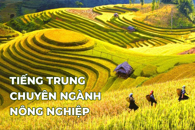 tiếng trung chuyên ngành nông nghiệp