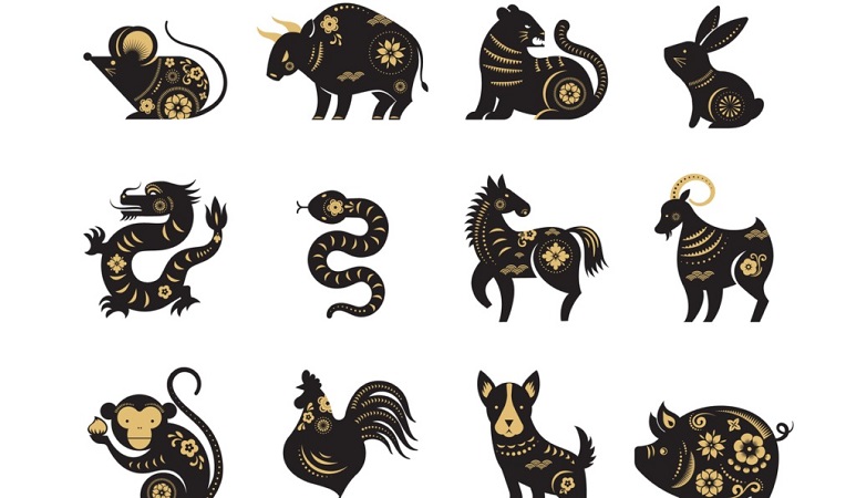 Tiếng Trung chủ đề 12 con giáp