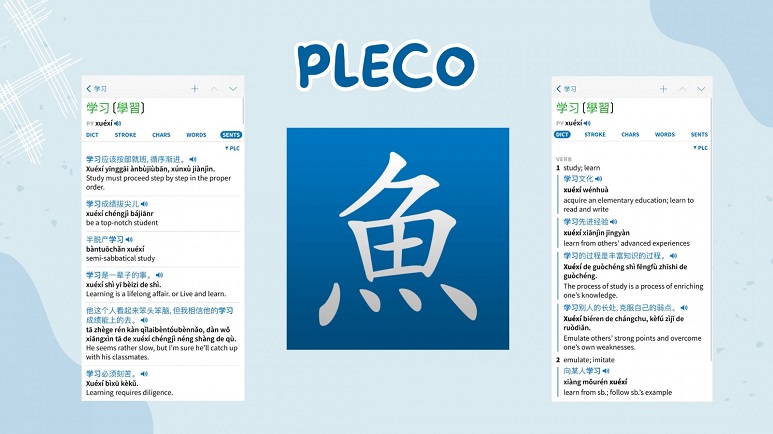 Từ điển Pleco Chinese Dictionary