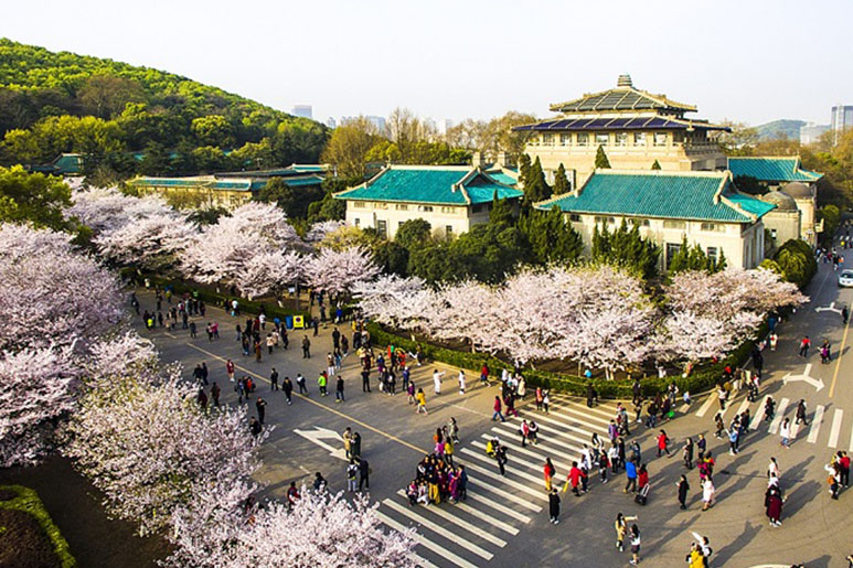 Đại học Vũ Hán còn được mệnh danh là trường đại học đẹp nhất Trung Quốc