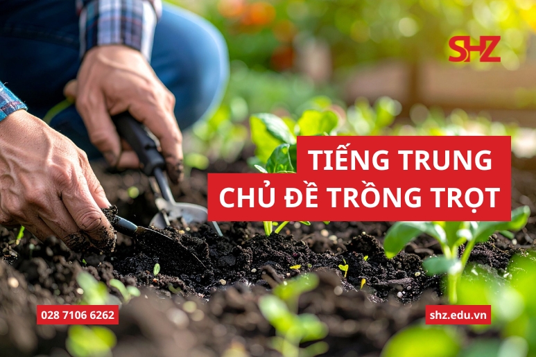Tiếng Trung Chủ Đề Trồng Trọt 1 Tiếng trung chủ đề trồng trọt