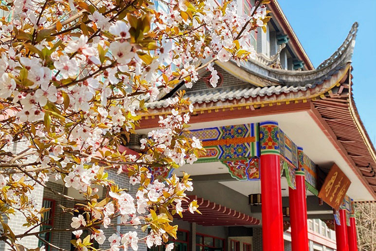 Đại học Tứ Xuyên Trung Quốc