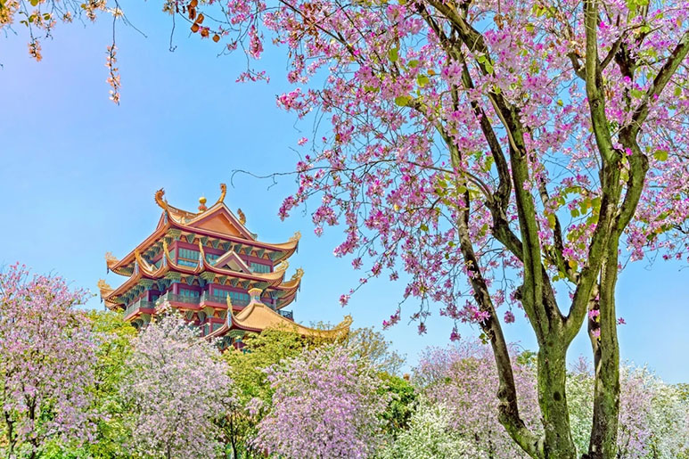 Chùa Tây Thiền Phúc Châu Trung Quốc