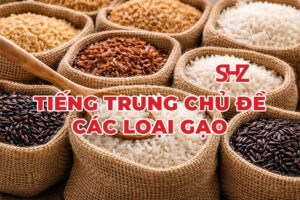 Tiếng Trung Chủ Đề Các Loại Gạo