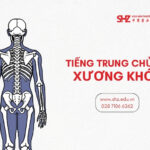 Tiếng Trung Chuyên Ngành Xương Khớp