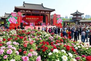 Lễ Hội Hoa Mẫu Đơn Lạc Dương