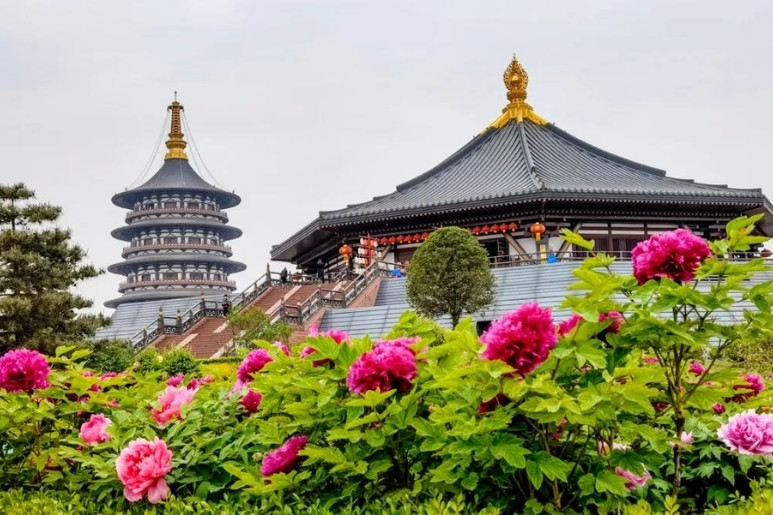 Lễ Hội Hoa Mẫu Đơn Lạc Dương