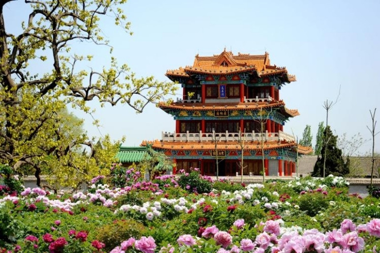 Lễ Hội Hoa Mẫu Đơn Lạc Dương