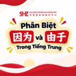 Phân Biệt 因为 Và 由于 Trong Tiếng Trung